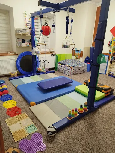 TIP TOPY CENTRUM TERAPII INTEGRACJI SENSORYCZNEJ I ROZWOJU DZIECKA